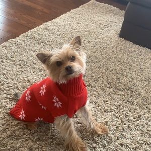 Meet your Posher, Payton